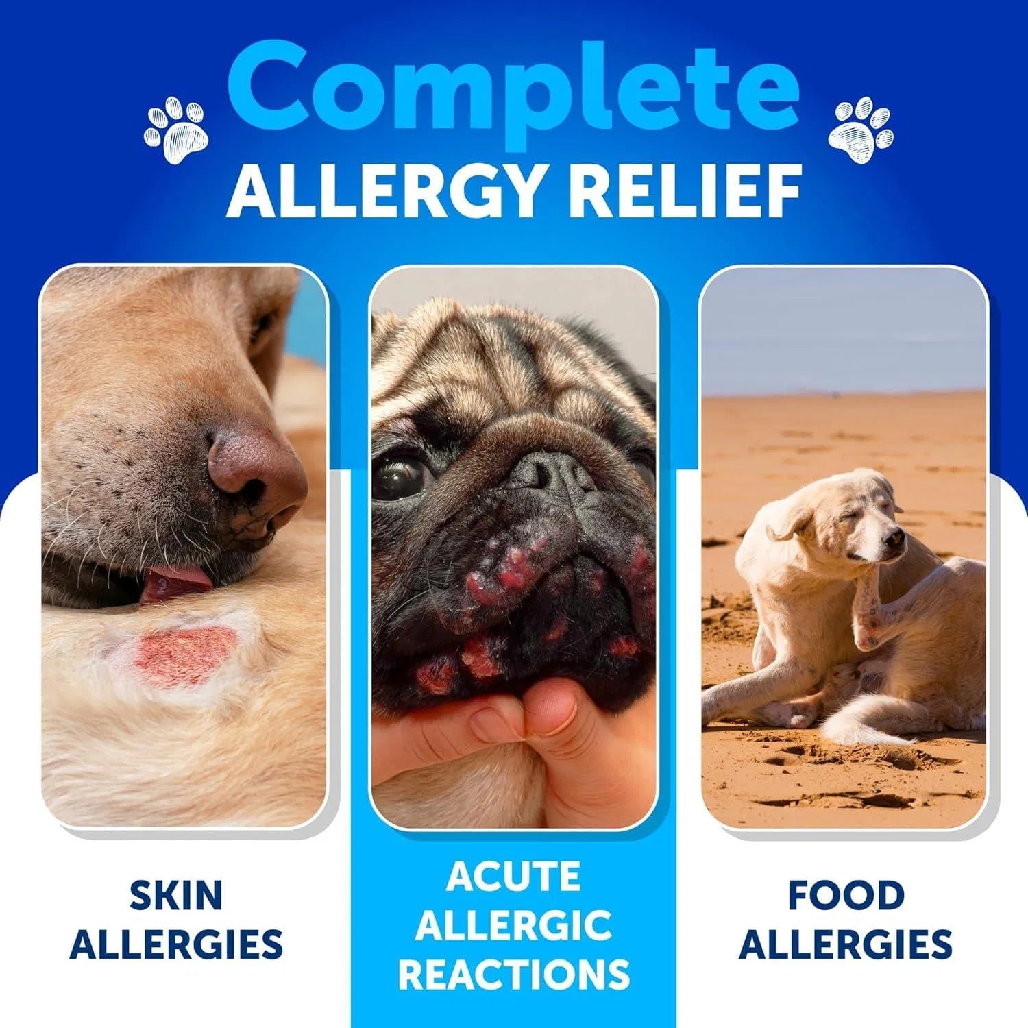 Probiotics for Dogs – Gut Health, Itchy Skin, Allergy & Immune Support Chews