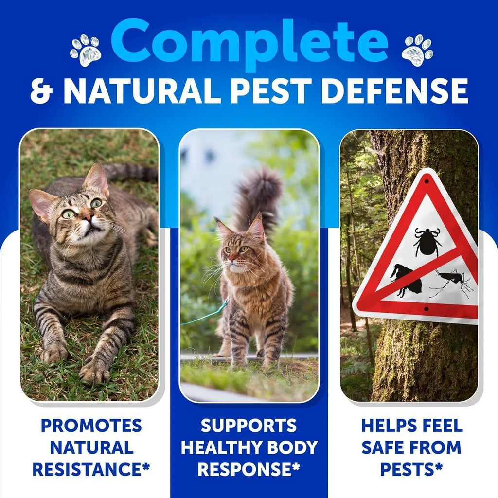 Natural Flea & Tick Prevention Treats for Cats – Immune Boosting, Chemical-Free Protection