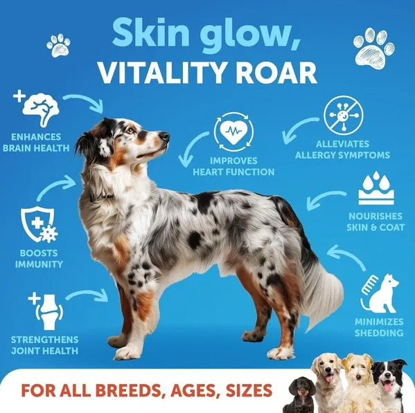 Wild Alaskan Salmon Oil for Dogs (8oz) – Omega-3 Skin, Coat & Joint Support Supplement