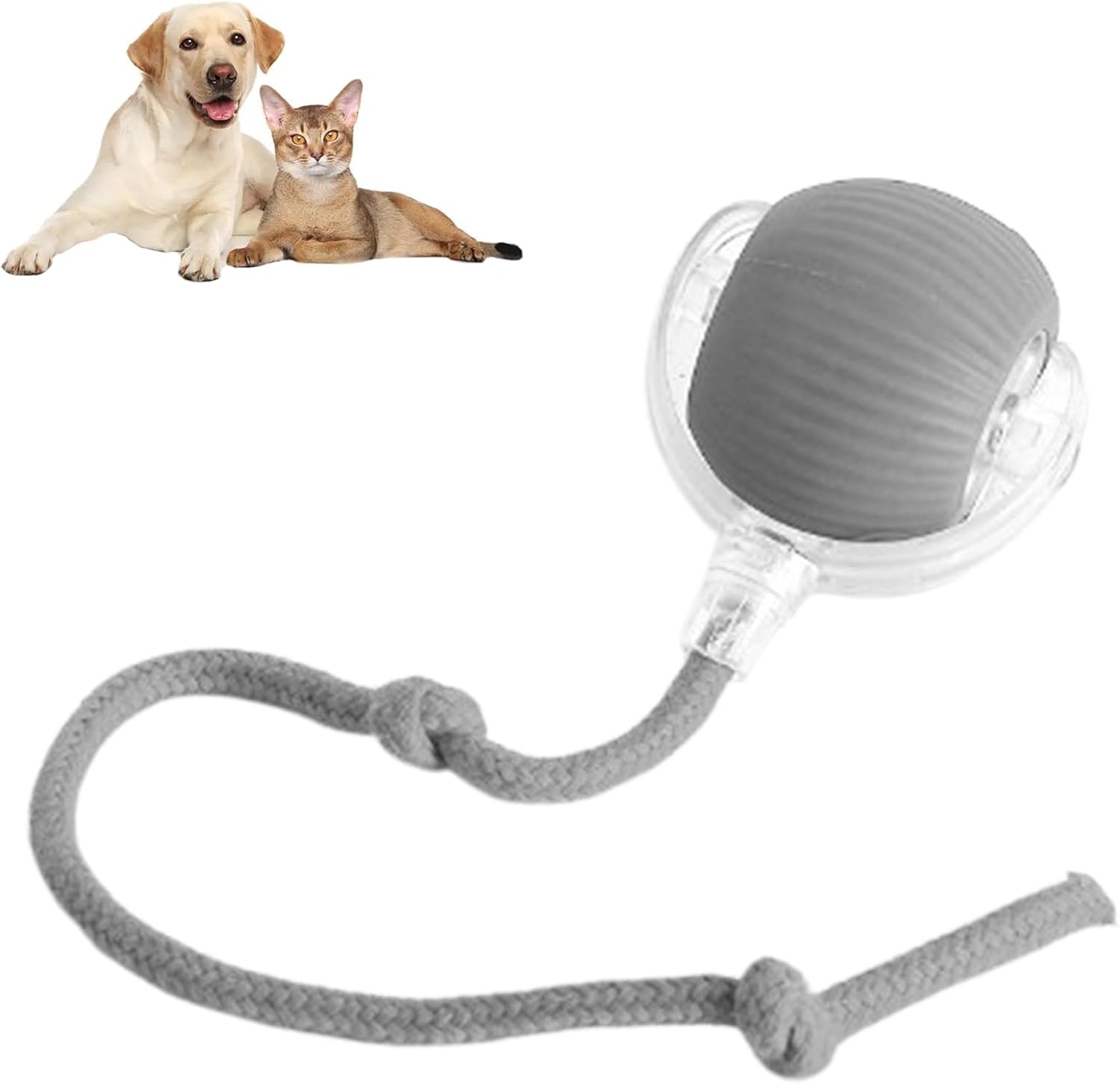 Interactive Rolling Ball for Dogs & Cats – Smart Automatic Moving Pet Toy | USB Rechargeable Motion Activated Chase Ball for Indoor Play