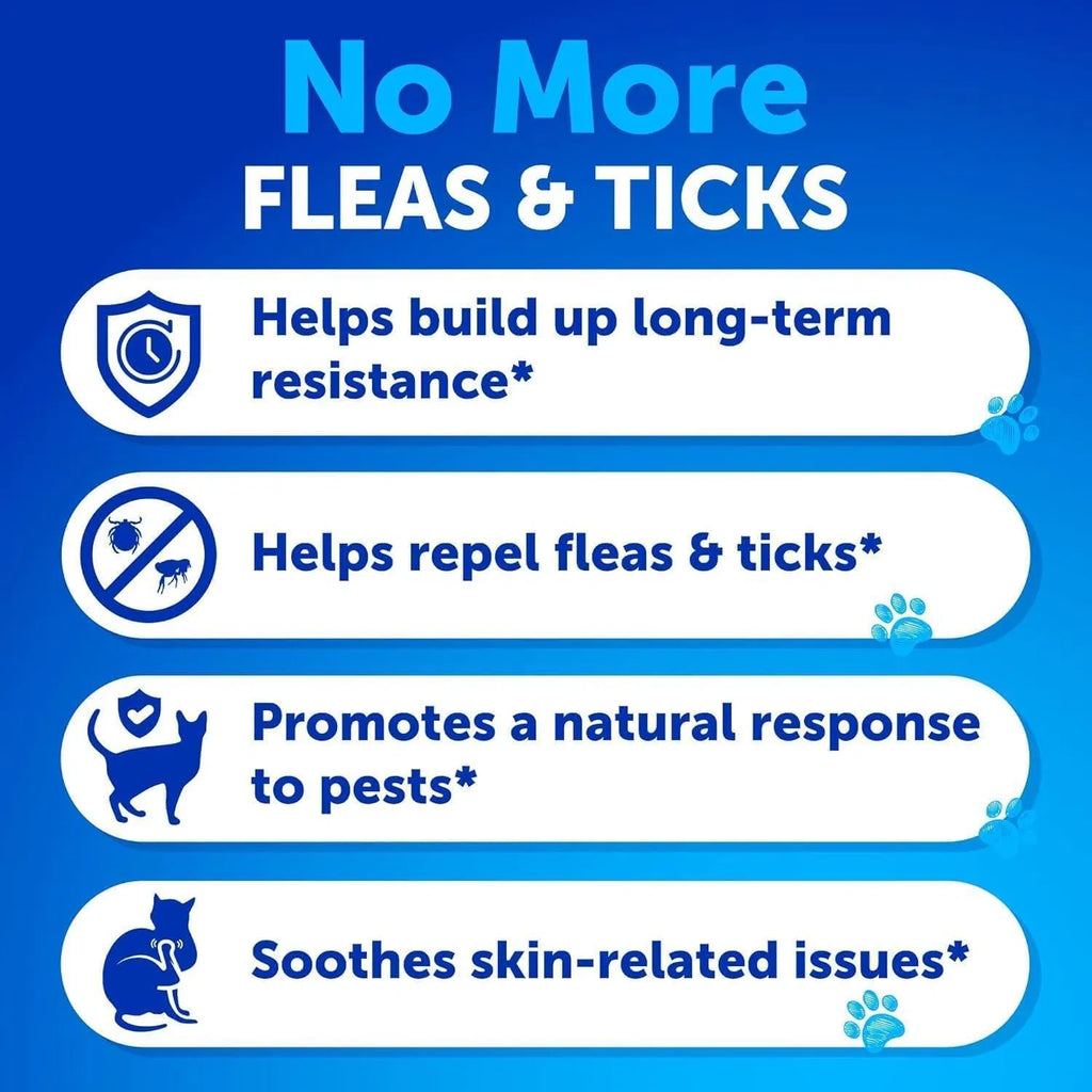 Natural Flea & Tick Prevention Treats for Cats – Immune Boosting, Chemical-Free Protection