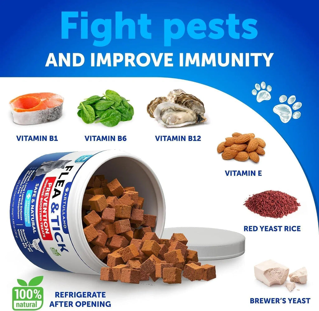 Natural Flea & Tick Prevention Treats for Cats – Immune Boosting, Chemical-Free Protection