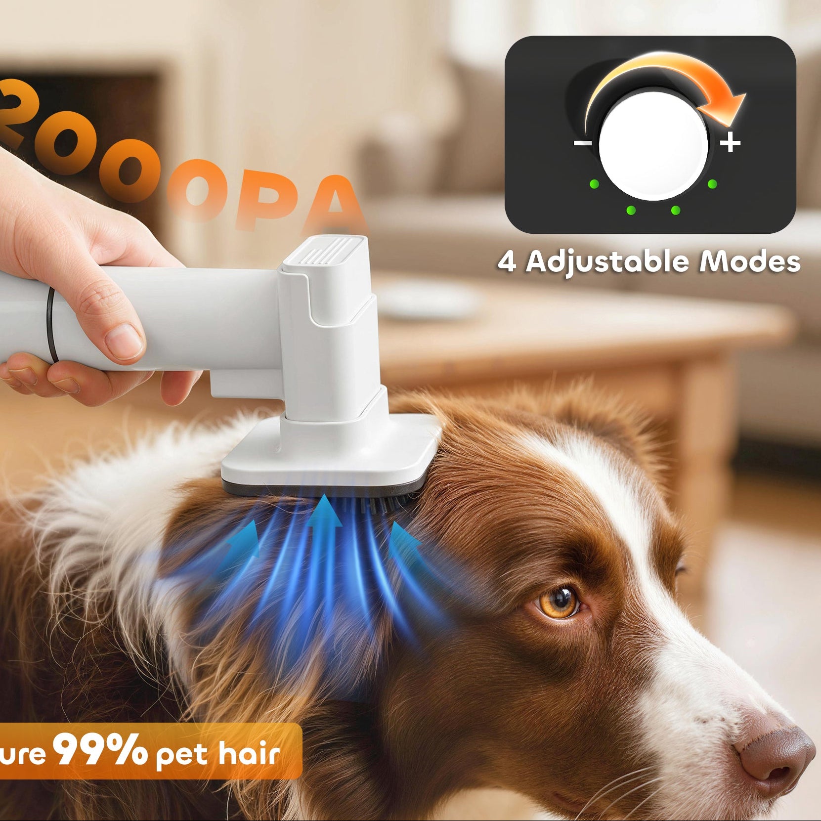5 in 1 Dog Grooming Kit – Professional Pet Hair Trimmer, Clipper & Nail Grinder Set | Rechargeable All-in-One Dog & Cat Grooming Tool