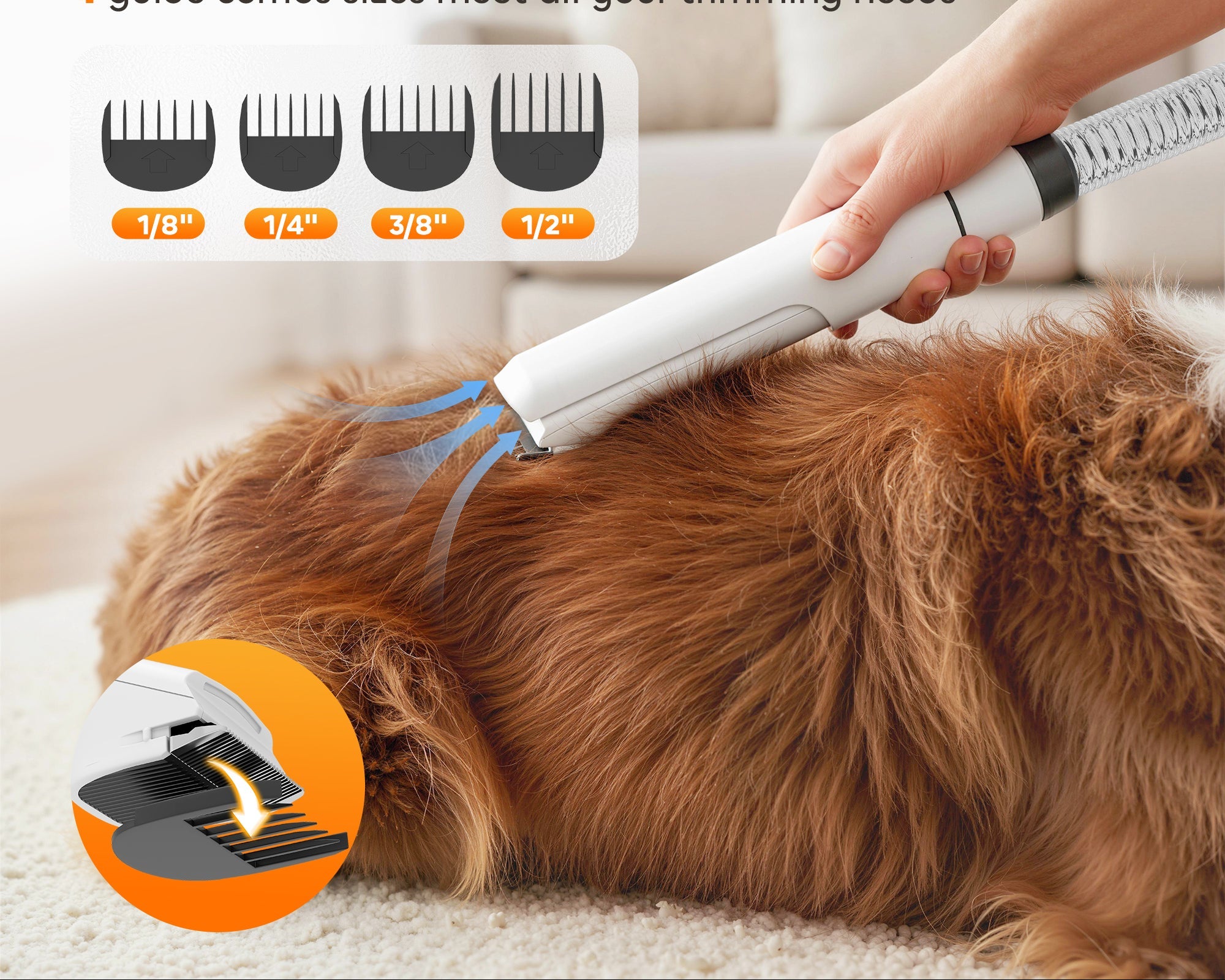 5 in 1 Dog Grooming Kit – Professional Pet Hair Trimmer, Clipper & Nail Grinder Set | Rechargeable All-in-One Dog & Cat Grooming Tool