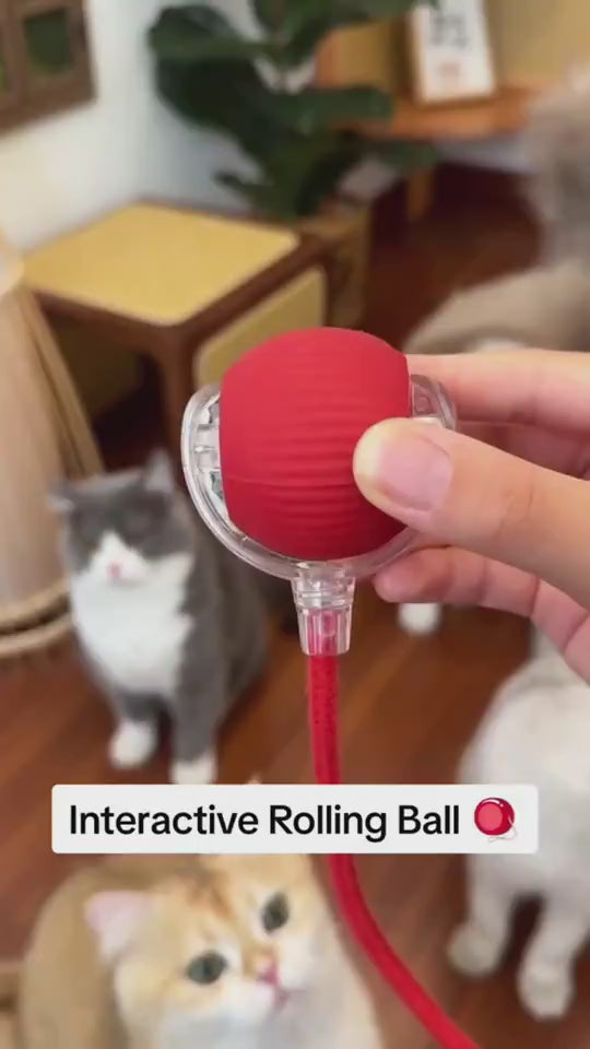 Interactive Rolling Ball for Dogs & Cats – Smart Automatic Moving Pet Toy | USB Rechargeable Motion Activated Chase Ball for Indoor Play