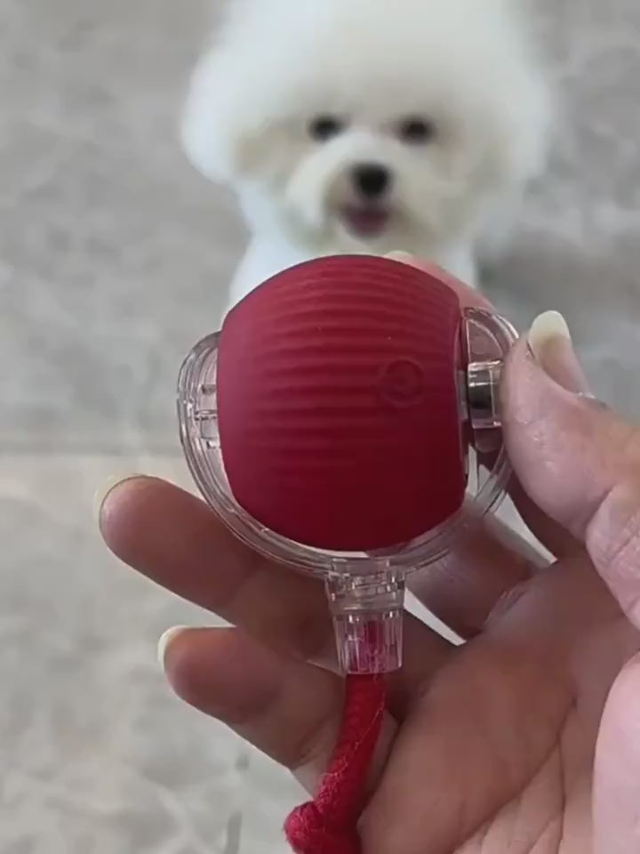 Interactive Rolling Ball for Dogs & Cats – Smart Automatic Moving Pet Toy | USB Rechargeable Motion Activated Chase Ball for Indoor Play